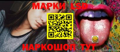 гидропоника Новозыбков