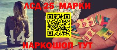 гидропоника Новозыбков