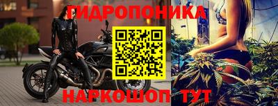 гидропоника Новозыбков