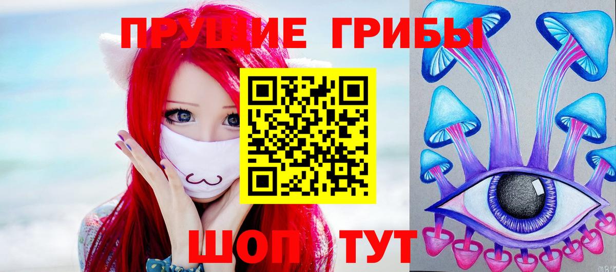 Псилоцибиновые грибы Psilocybine cubensis Спасск-Дальний